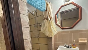 Une salle de bain avec une douche, un lavabo et un miroir.