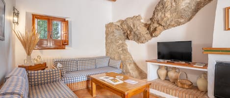 Televisión, chimenea y reproductor de DVD