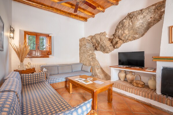 Televisión, chimenea y reproductor de DVD