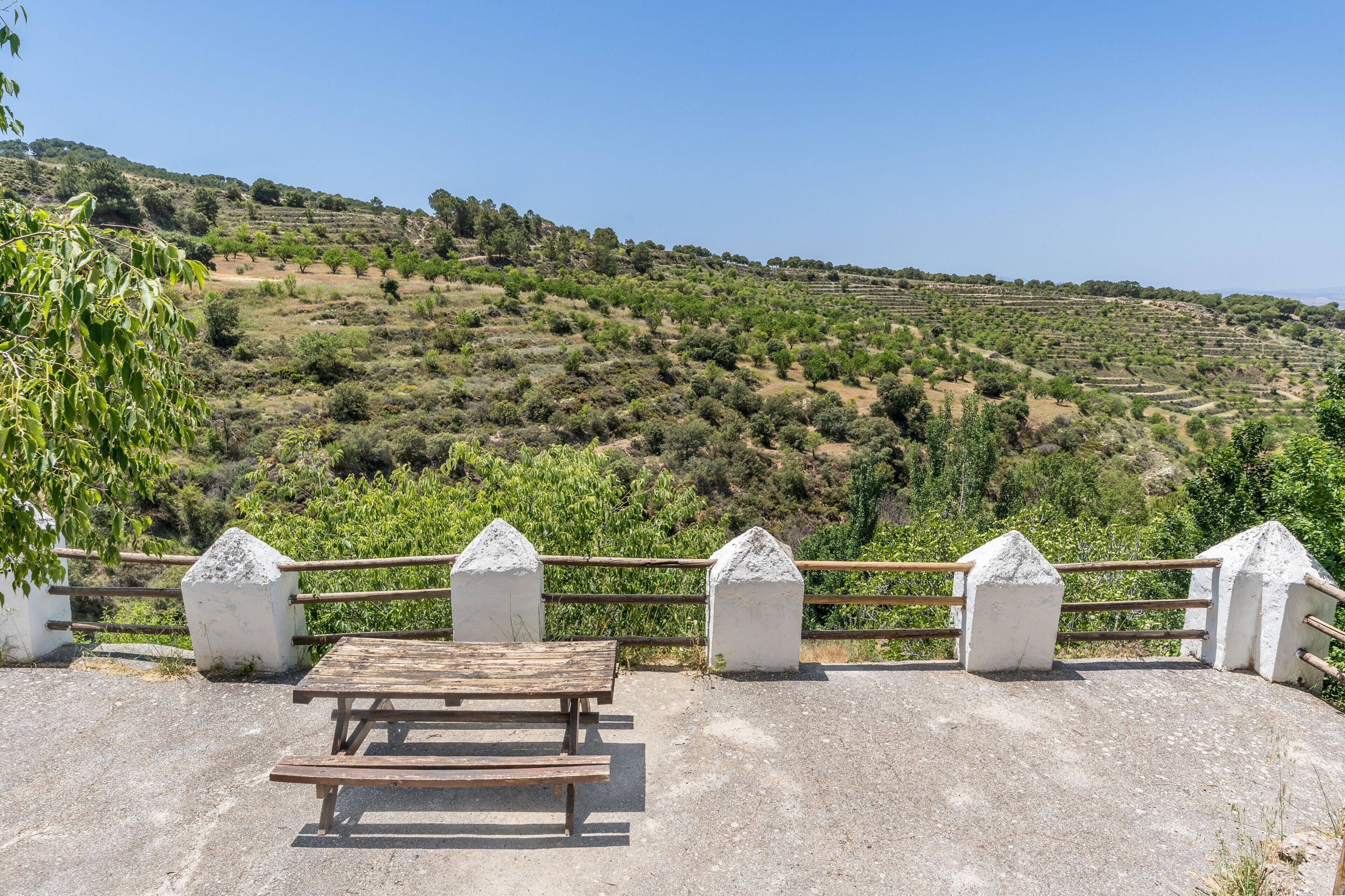 Une table de pique-nique offrant une vue sur des champs en terrasses et des collines.