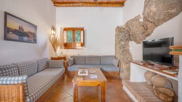 TV, fireplace, DVD player