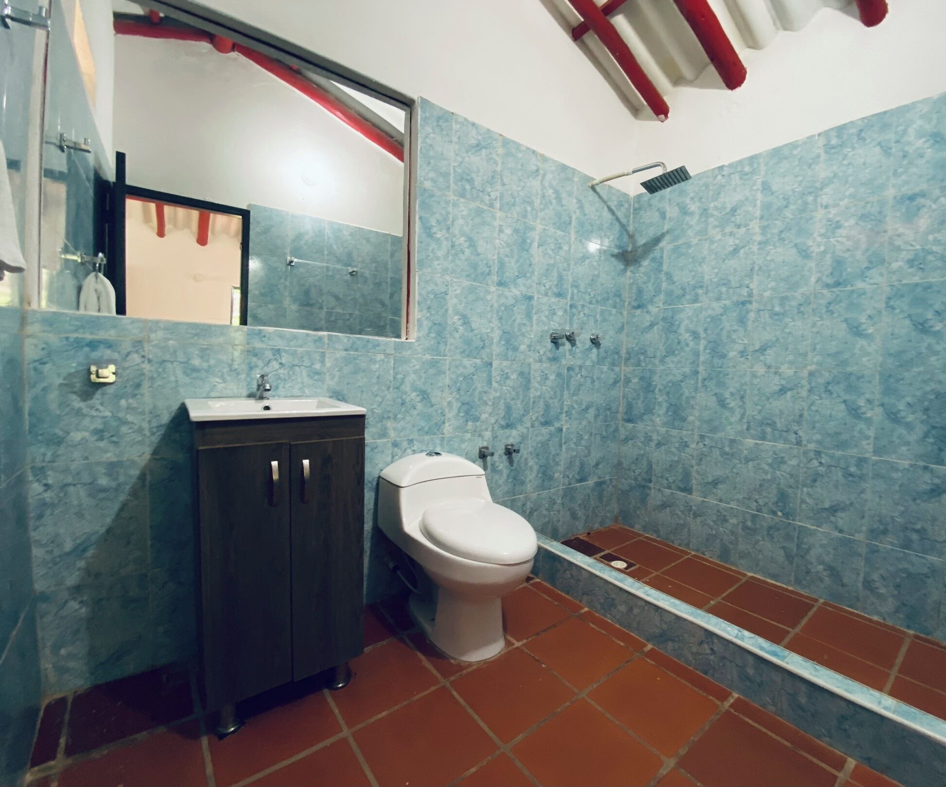 A bathroom with a white toilet, a sink, and a shower.