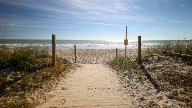 En sandig stig som leder ner till havet, med en klar himmel och en skinande sol.