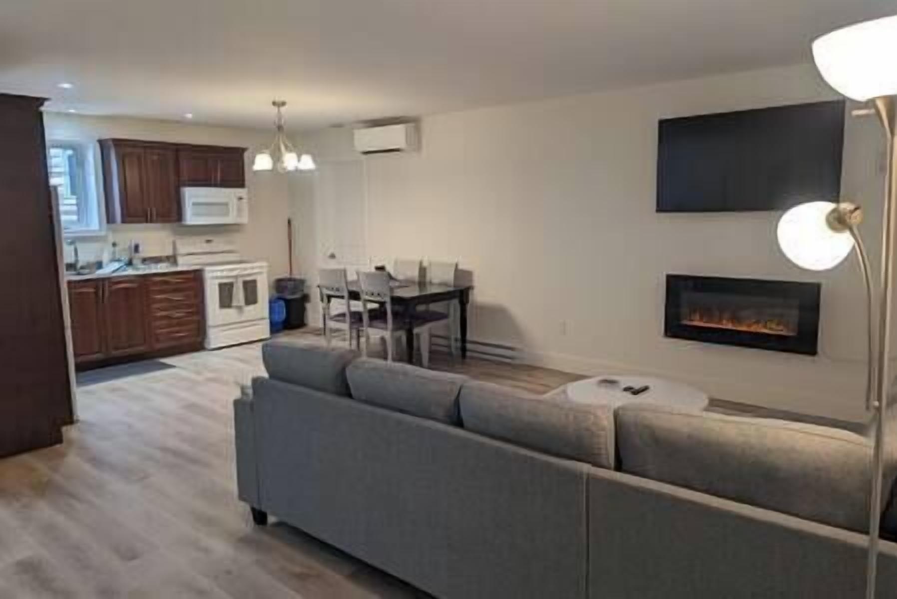 Smart TV, fireplace, books