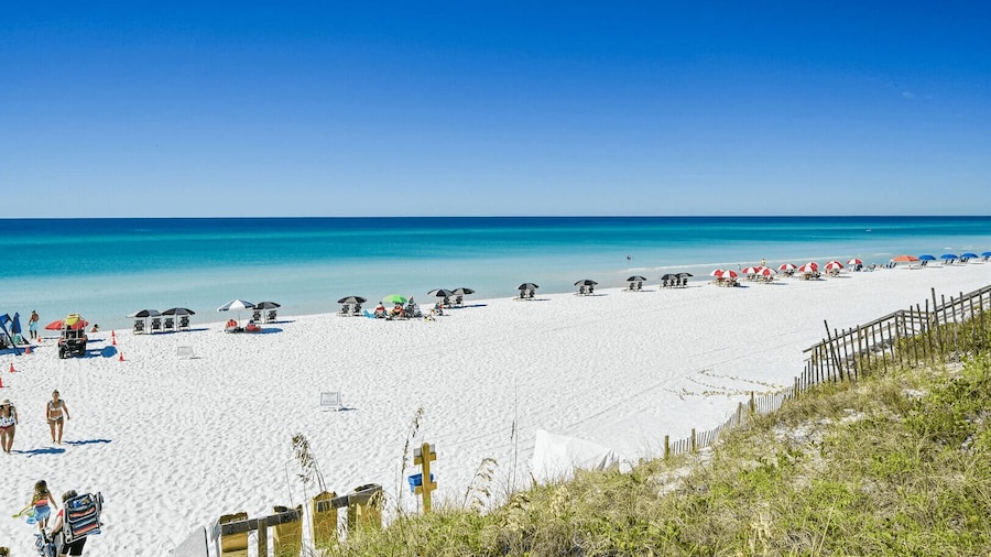 Emerald Paradise 2 Blocks to Beach Rooftop Patio + Pool Access Sleeps 10