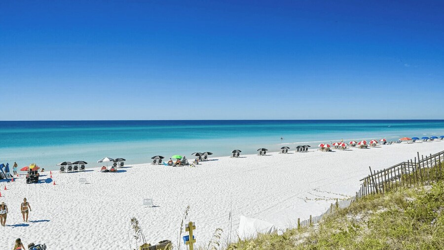 Emerald Paradise 2 Blocks to Beach Rooftop Patio + Pool Access Sleeps 10