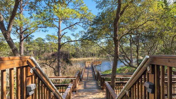 A wooden boardwalk leading to a body of water, surrounded by trees. - Lazy Duck Retreat by Avantstay Blue Mountain Priv Beach Access Pool + Patio (Santa Rosa Beach)