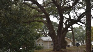 Een huis, omringd door grote bomen, met een oprit naar de voordeur.