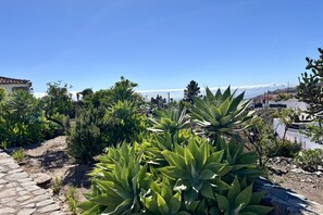 Property grounds - Stunning El Poleo Cottage at El Estanco Viejo: Historic Comfort With B (Adeje)