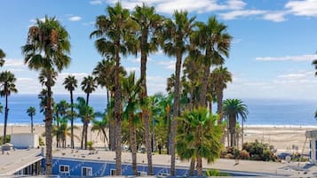 Playa en los alrededores, camastros y toallas de playa
