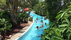 A swimming pool with people in the water, surrounded by greenery.