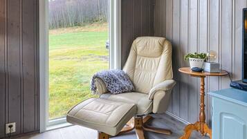 Televisión y chimenea