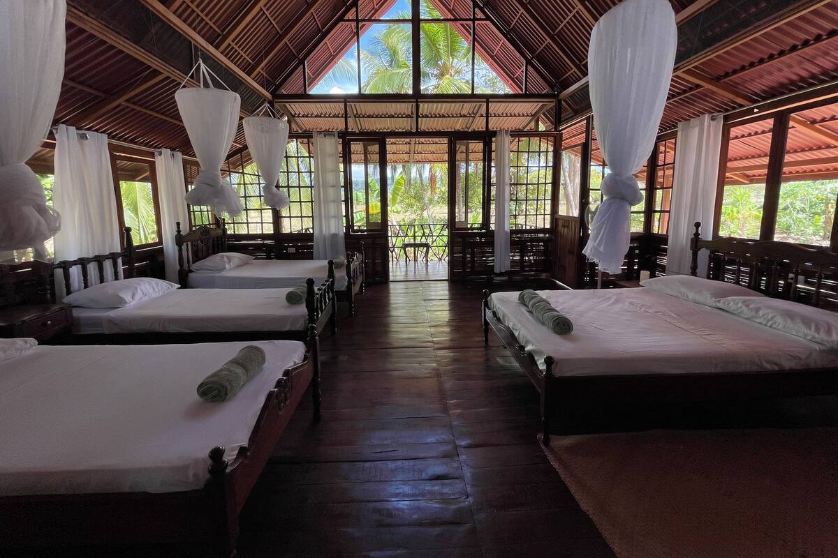 A room with four beds, wooden floors, and a high ceiling with a view of greenery outside.