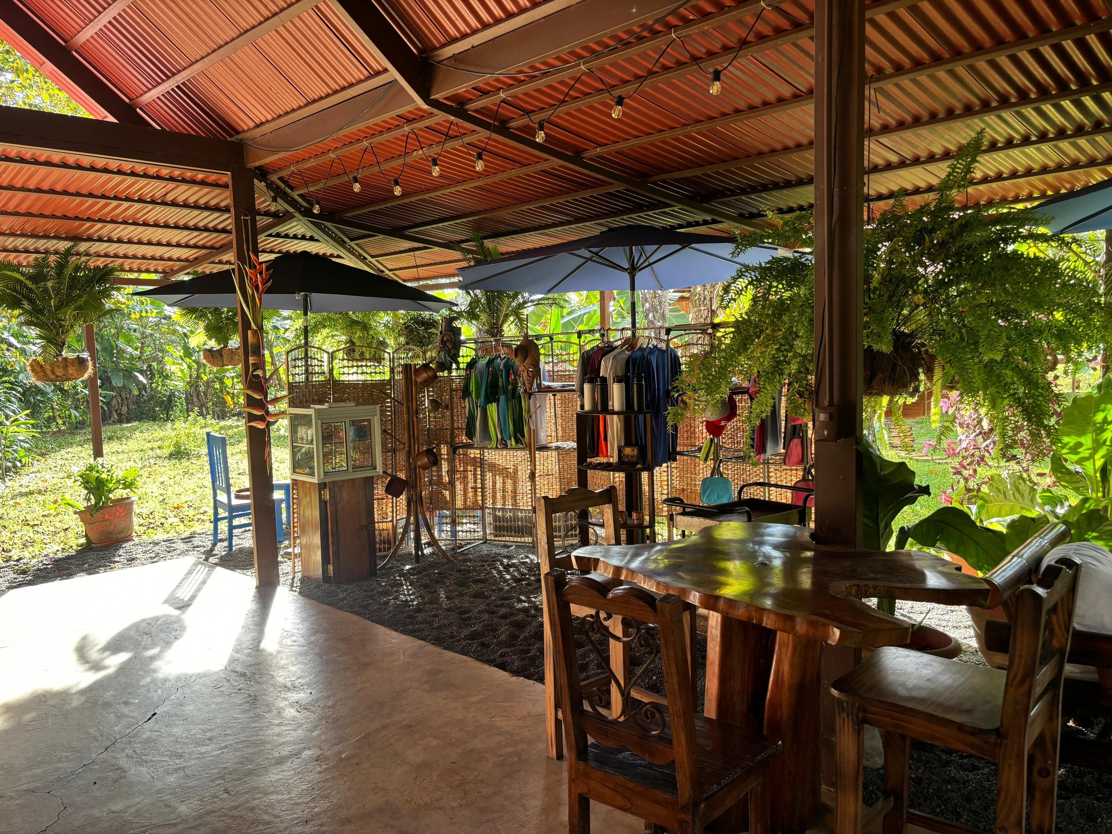 An outdoor patio with wooden furniture, umbrellas, and potted plants.