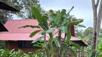 Façade de lâhĂ©bergement