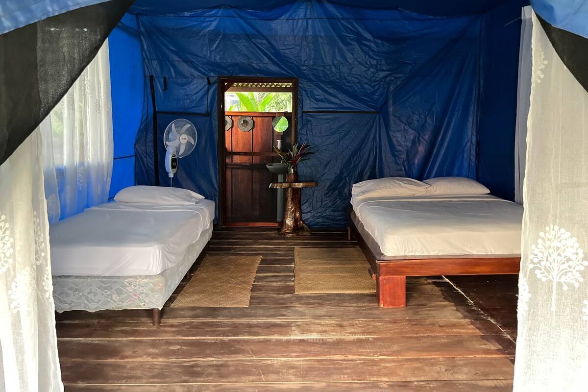 A tented room with two beds, a fan, and a small table with a plant.