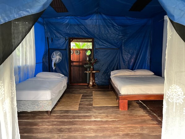 A tented room with two beds, a fan, and a small table with a plant. - Hacienda Río Oro (Puerto Jiménez)