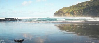 Bethells Beach Glamping Retreat
Perfect for couples or a family escape!
