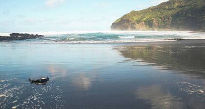 Bethells Beach Glamping Retreat
Perfect for couples or a family escape!
