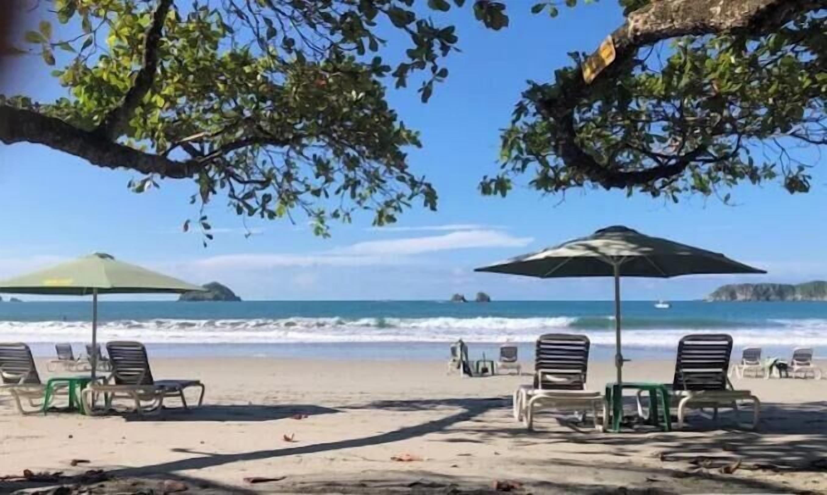 A beach with lounge chairs and umbrellas, a clear sky, and the ocean in the background.