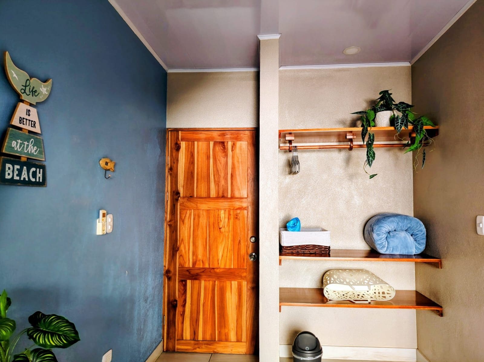A room with a wooden door, a shelf with plants, and a wall with a life sign.