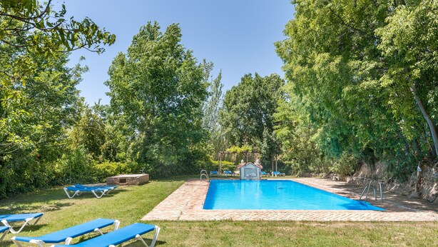Una piscina con tumbonas, rodeada de árboles.