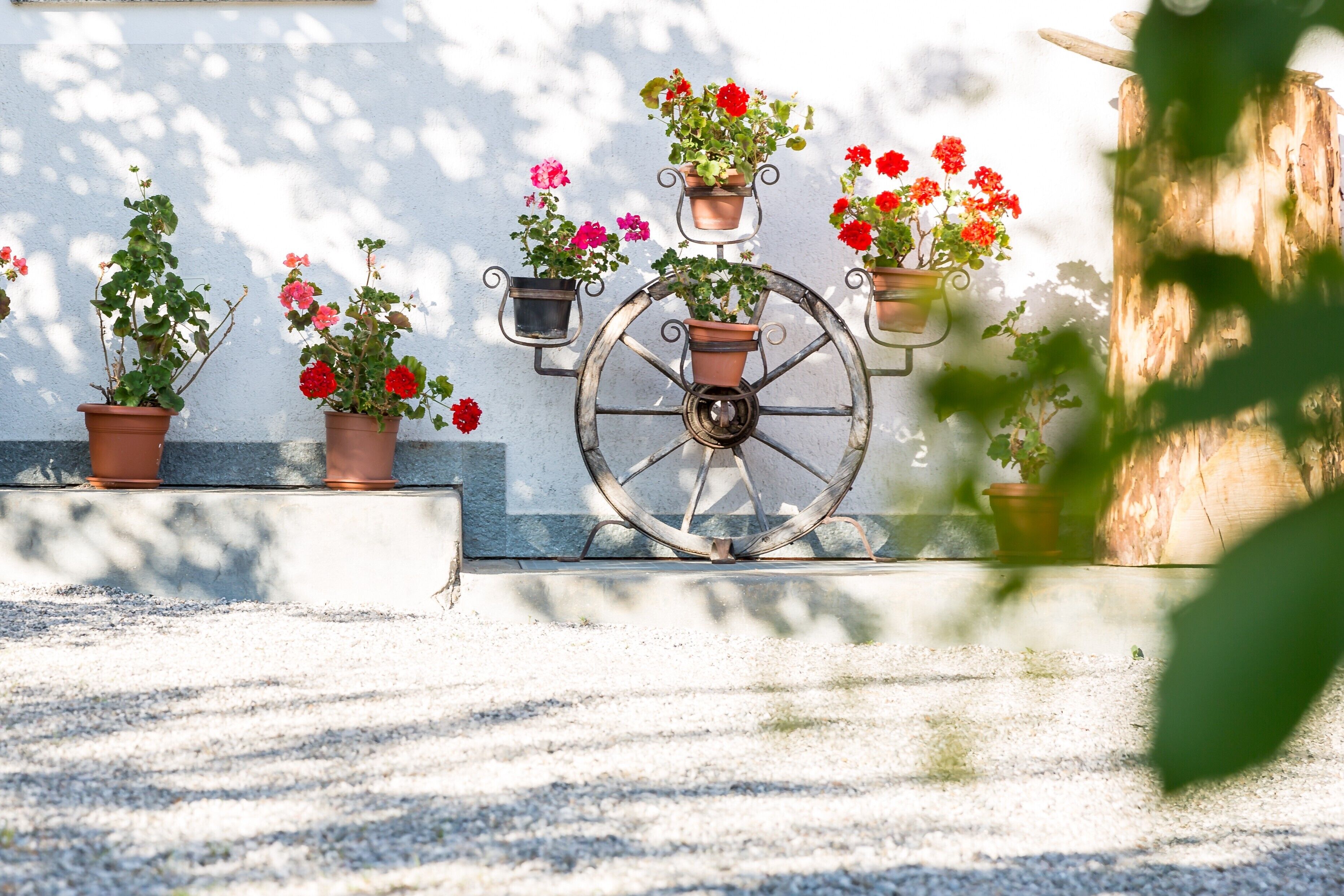 Áreas de la propiedad