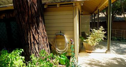 1930’s Bungalow hidden in Mariposa’s Historic Downtown