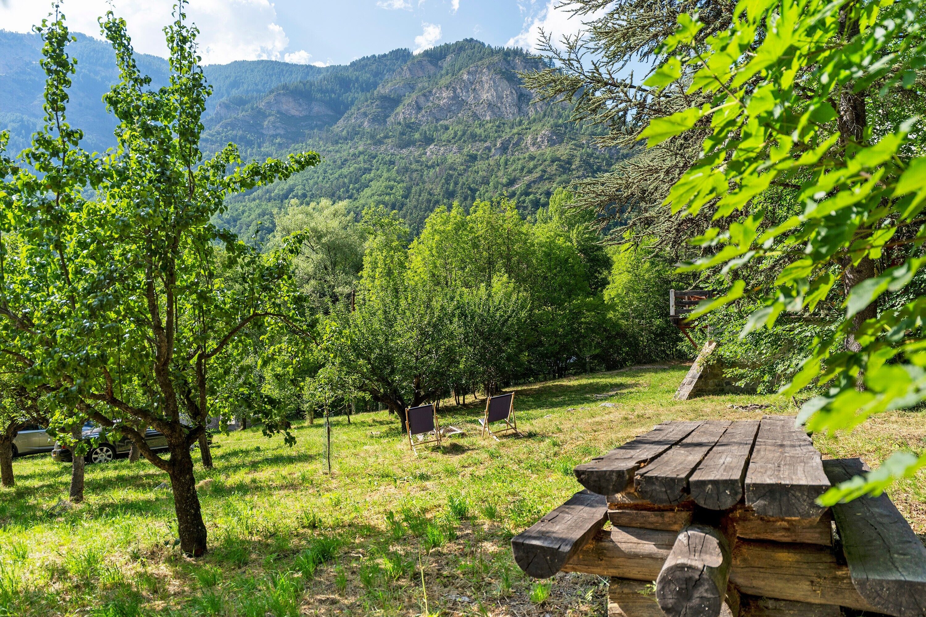 A picnic area with a wooden bench and a blank easel, surrounded by lush greenery and a mountain backdrop.