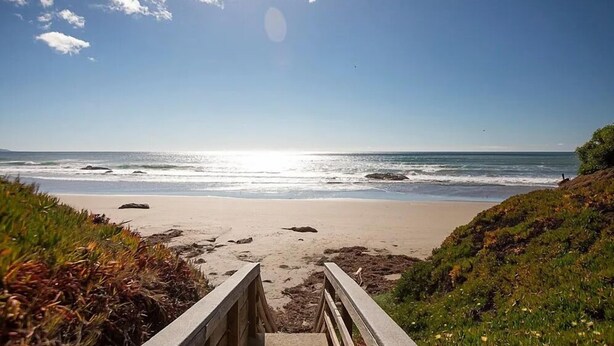A beach with a wooden walkway leading to the water, surrounded by greenery. - Ocean Views-Fire Pit-Walk to Beach (Cayucos)