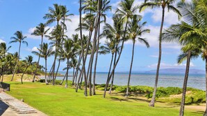 A tropical resort with a grassy lawn, palm trees, and a view of the ocean. - Oceanfront, Split AC unit, remodeled November 2024, king bed washer dryer unit (Kihei)