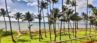 Oceanfront, Split AC unit, remodeled November 2024, king bed washer dryer unit