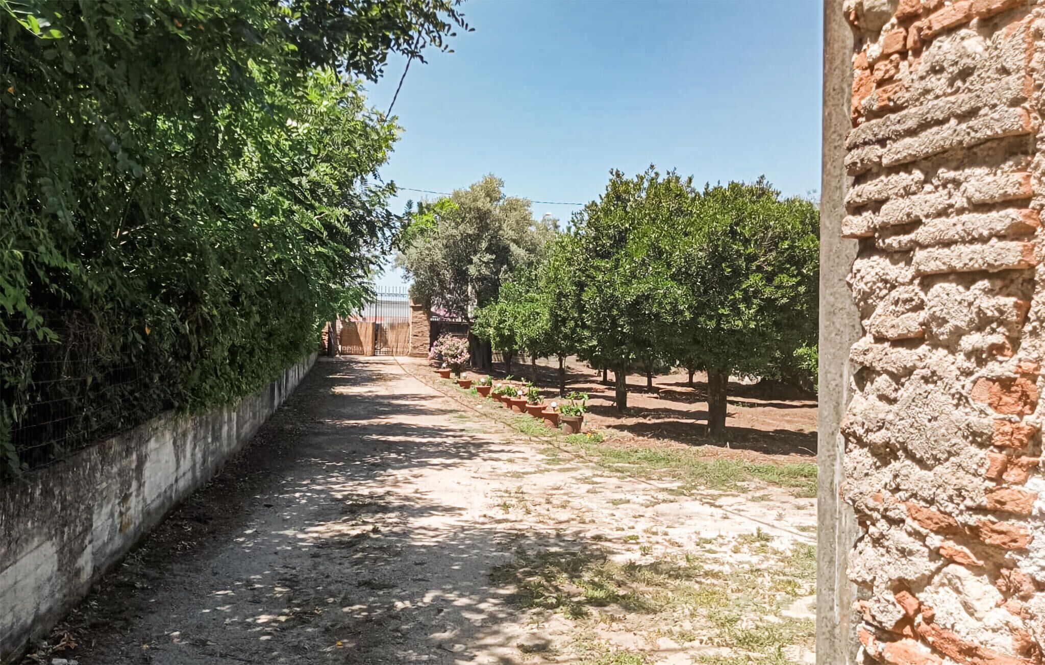 Un sentier bordé d’arbres et, d’un côté, un mur de pierres.