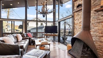 Smart TV, fireplace, books