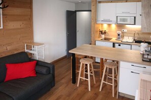 Interior - Very nice studio completely redone (LES ORRES 1650)