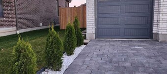 Homely, cozy, spacious quiet basement apartment in a lovely neighborhood. 