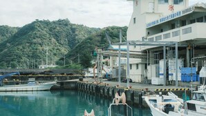 A harbor with boats docked, a building with signage, and a mountainous backdrop. - NEGURA (Ogimi)