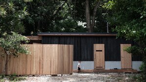 A wooden structure with a black exterior and a single door, surrounded by dense foliage. - NEGURA (Ogimi)
