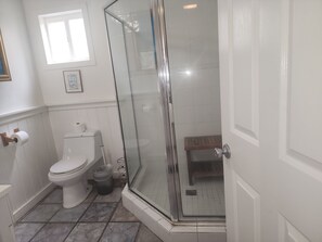 Douche, séchoir à cheveux, serviettes fournies, savon