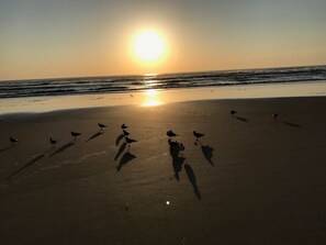 Strand