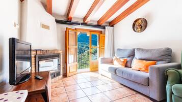 Télévision, cheminée, lecteur de DVD