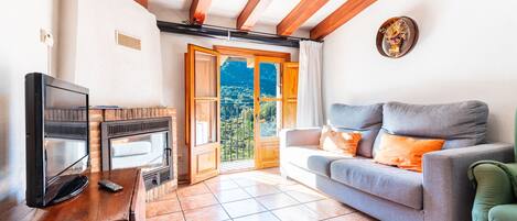 TV, fireplace, DVD player