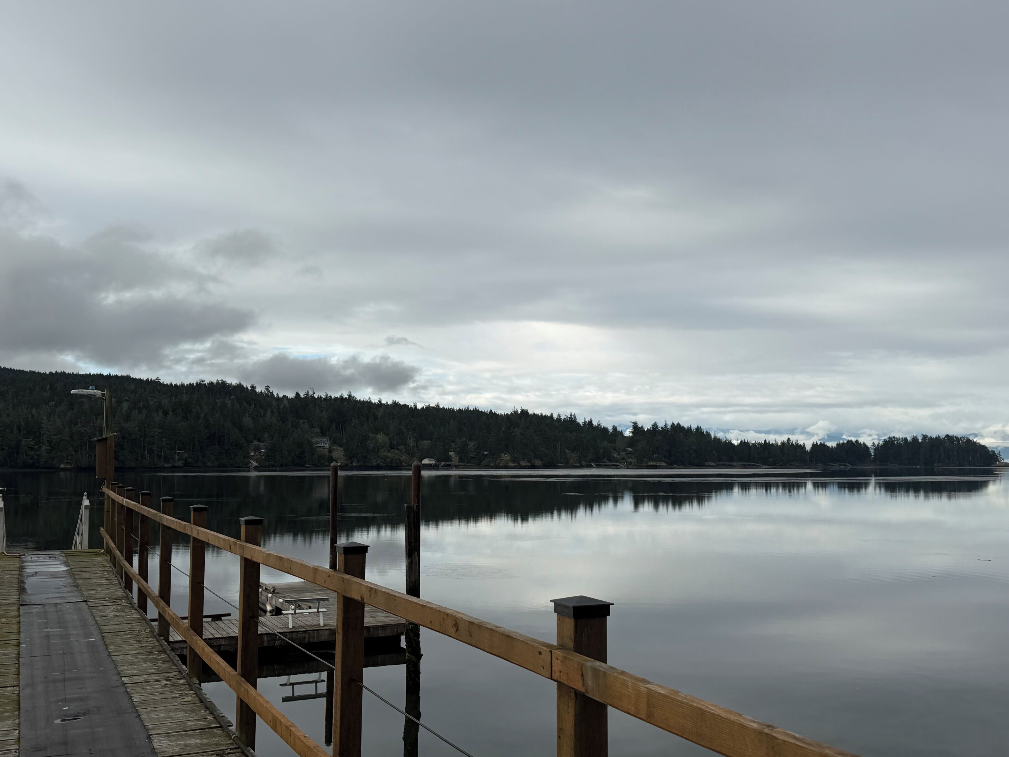 A wooden dock extending into a calm lake with a forested hill in the background.