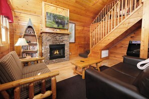 TV, fireplace, DVD player, video library