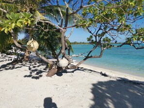 BBQ/picnic Area - Flyfishing Anaa Toku Kaiga (Anaa)