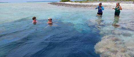 On the beach, white sand, sun loungers