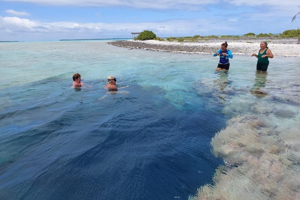 Ubicación a pie de playa, arena blanca y tumbonas