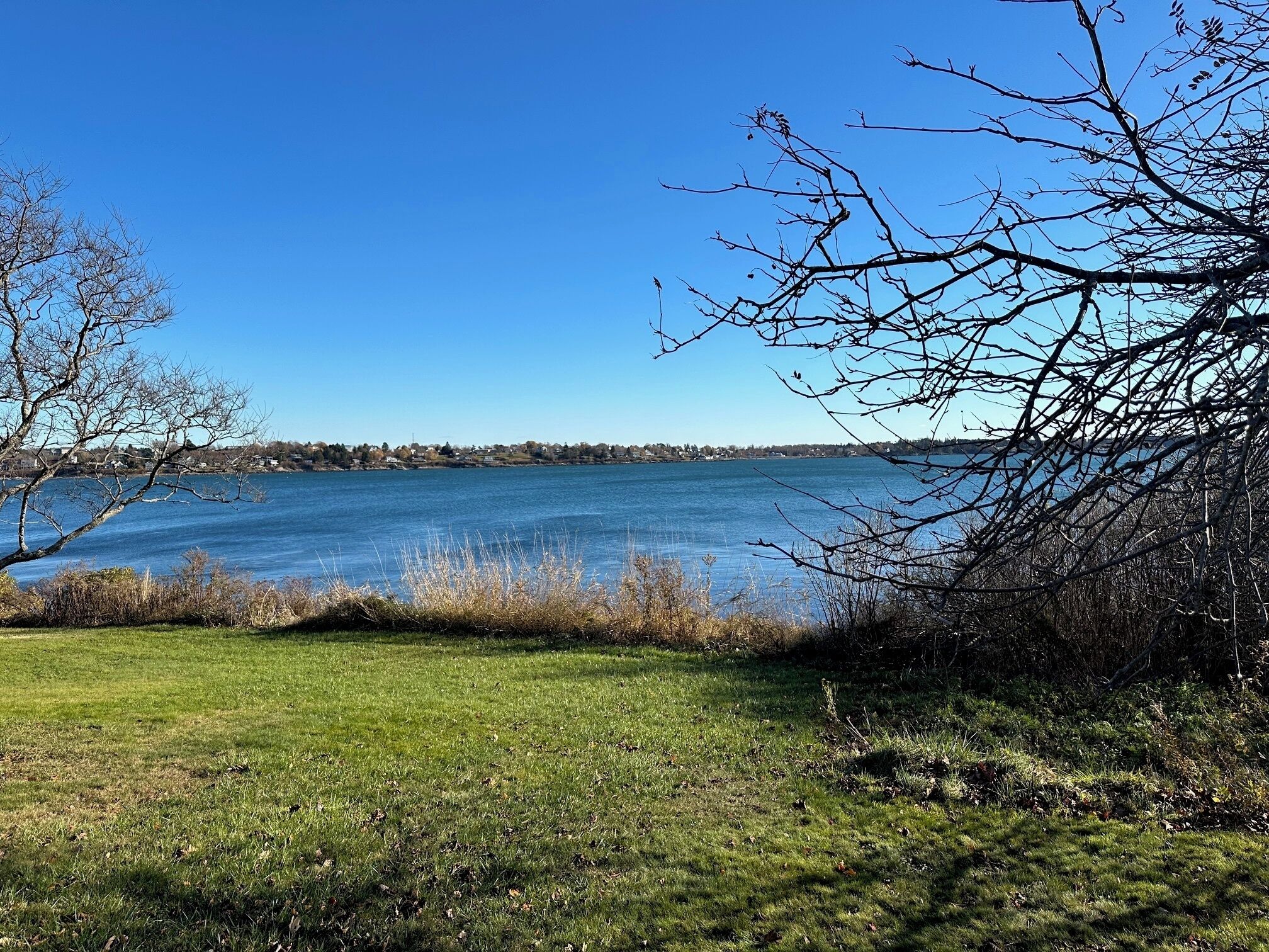 Una zona erbosa con vista su un lago e una costa lontana.