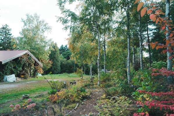 Uma cabana rústica com telhado inclinado, rodeada por um jardim com diversas plantas e árvores, algumas com folhas de outono.