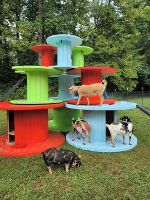 Pet-friendly - Whimsical Candy Cabin in Blue Ridge with Lollipop Garden, Firepit & Petting Zoo (Hayesville)